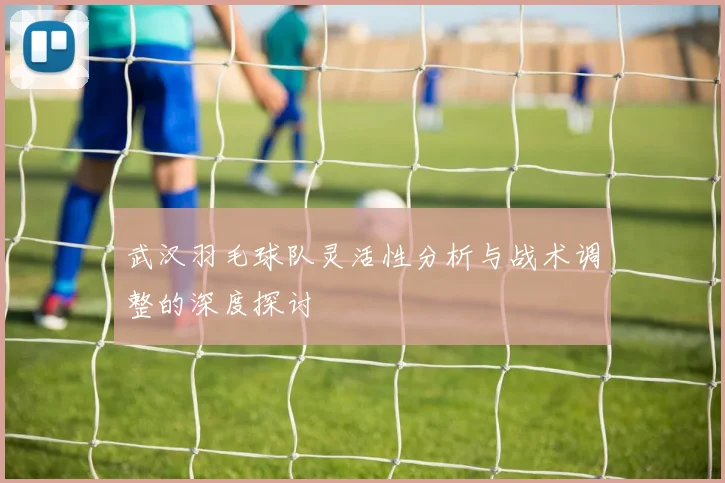 武汉羽毛球队灵活性分析与战术调整的深度探讨
