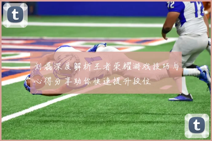 刘磊深度解析王者荣耀游戏技巧与心得分享助你快速提升段位